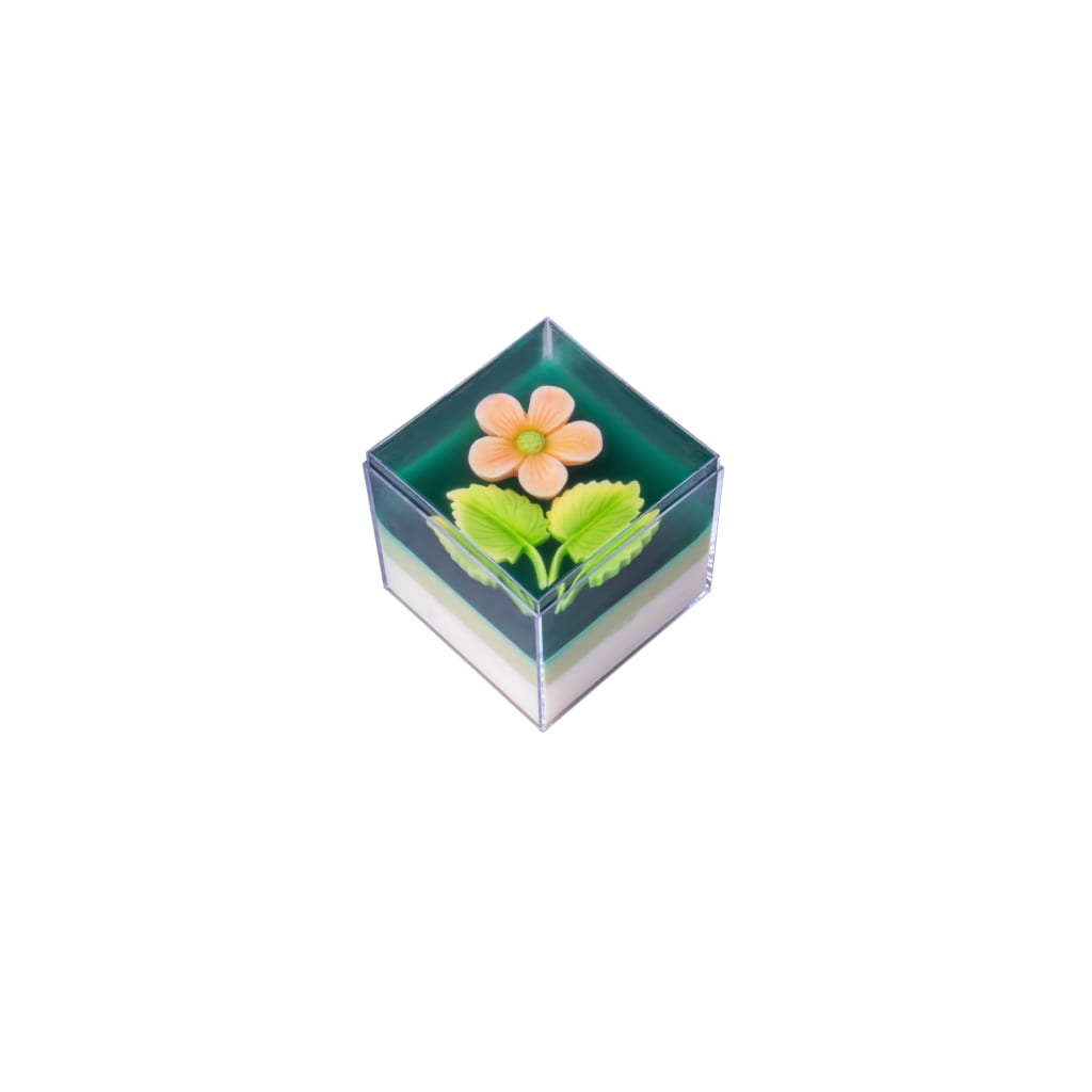  Rau Câu Hộp Vuông Vị Lá Dứa Givral - GV112 