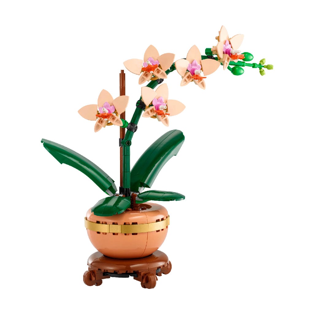  Đồ Chơi Lắp Ráp Hoa Lan Nhỏ LEGO BOTANICALS 10343 (274 chi tiết) 