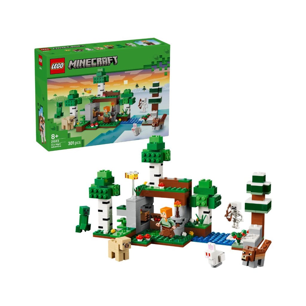 樂高與益智玩具:  第一次夜間冒險拼裝玩具 LEGO MINECRAFT 21593 (301個零件) 