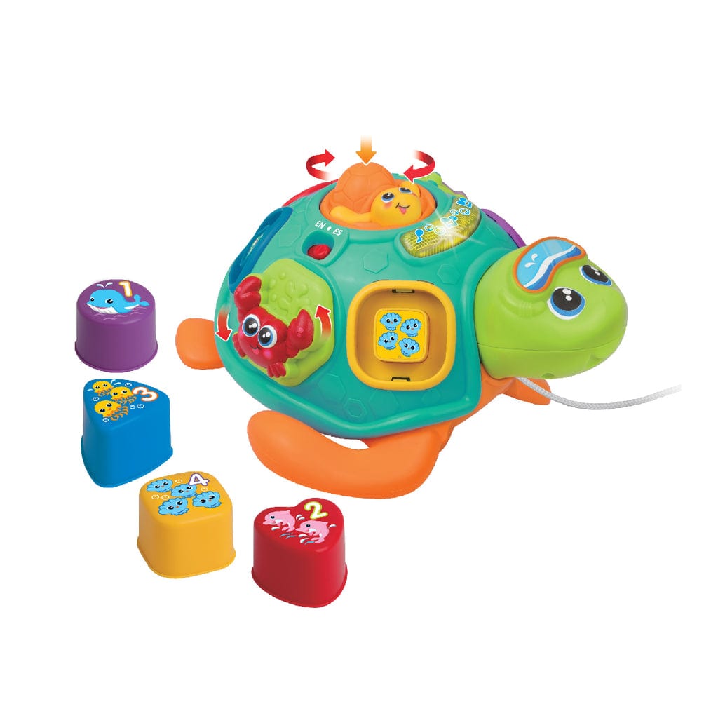  Đồ Chơi Rùa Con Học Hình Khối Và Màu Sắc WINFUN 240301 