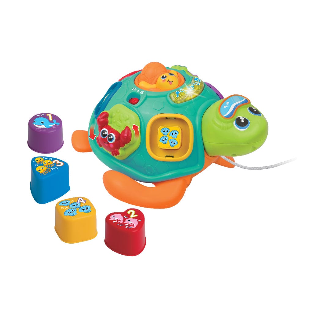  Đồ Chơi Rùa Con Học Hình Khối Và Màu Sắc WINFUN 240301 