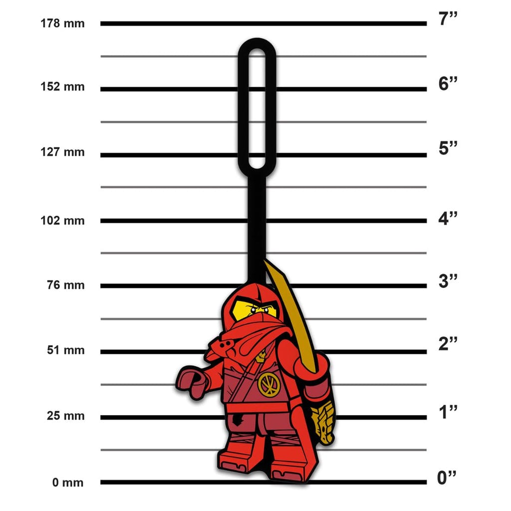  LEGO Ninjago - 凱名牌 LEGO LICENSED 53342 