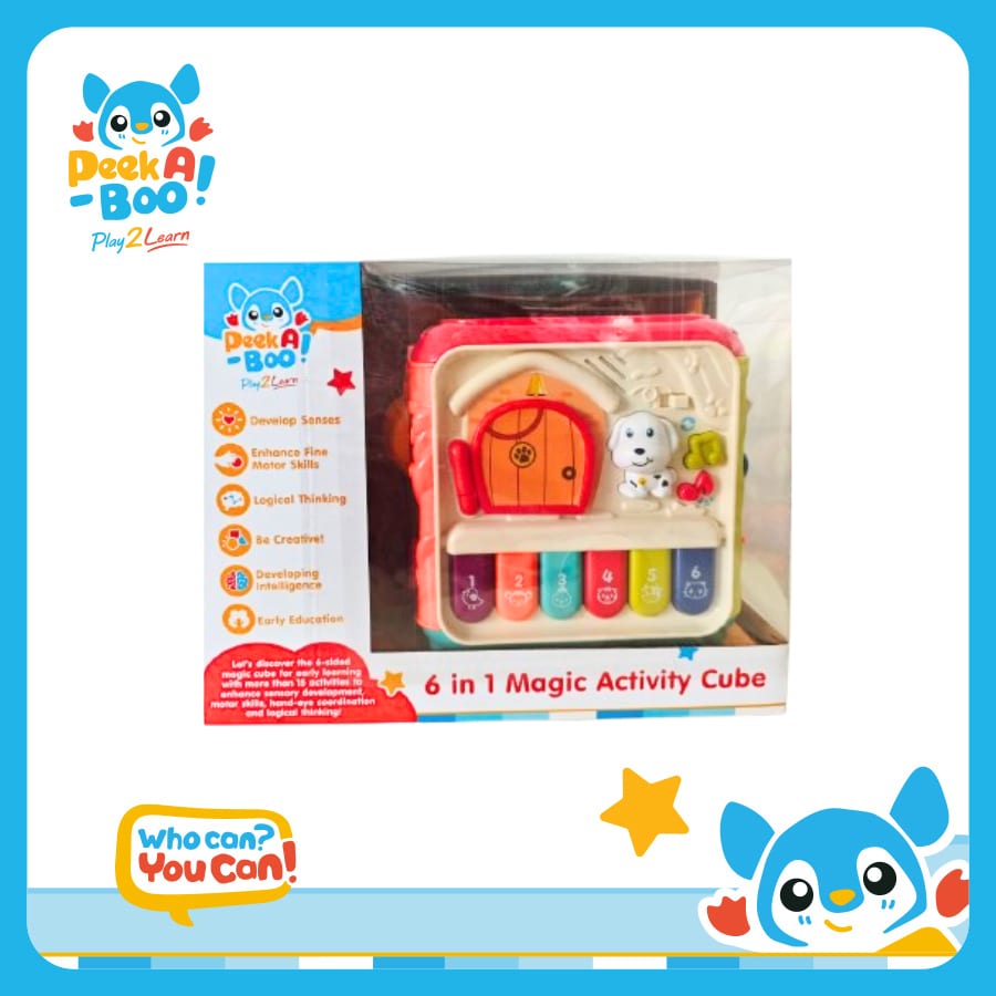 樂高與益智玩具:  六面形狀玩具 PEEK A BOO PAB055 