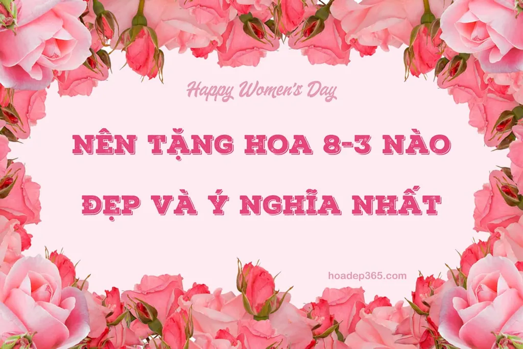 Nên tặng hoa gì ngày 8/3? Top 15 loài hoa 8/3 đẹp nhất 2026