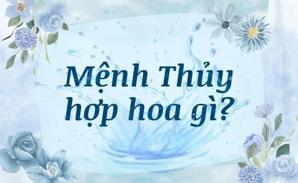 Mệnh Thuỷ hợp hoa gì? Top 10 loại hoa mang may mắn, tài lộc, thịnh vượng