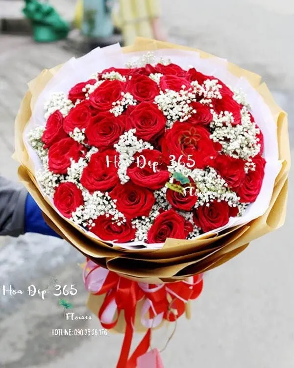 Ý nghĩa hoa Hồng Nhung đỏ có thể bạn chưa biết