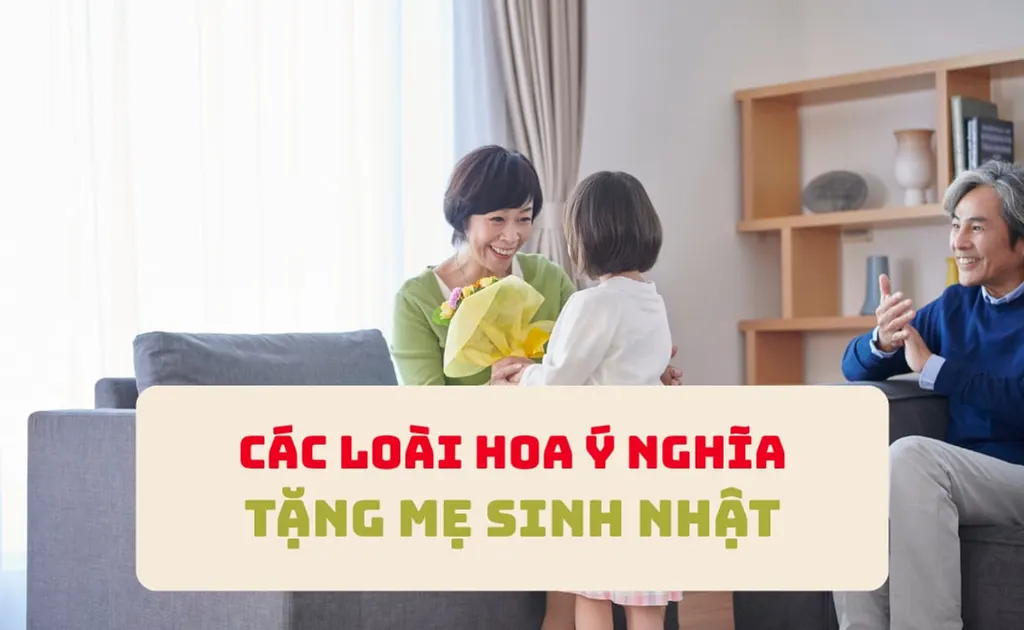 Hoa tặng sinh nhật mẹ nên tặng loại nào ý nghĩa? Mẫu hoa tặng mẹ đẹp nhất