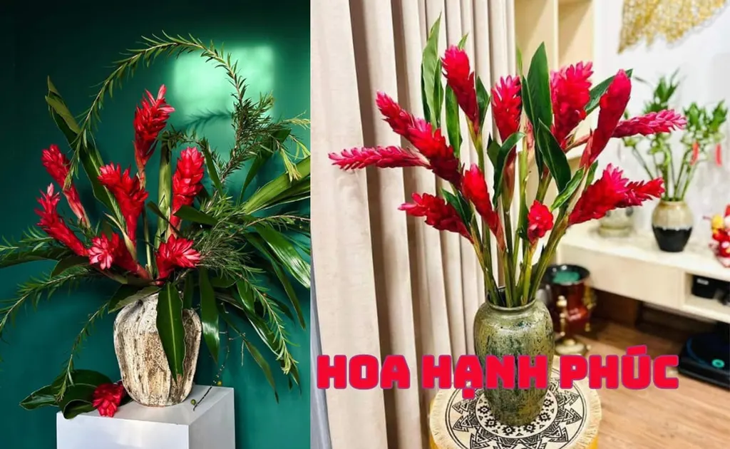 Hoa hạnh phúc là gì? Ý nghĩa, cách trồng và cắm hoa thu hút tài lộc