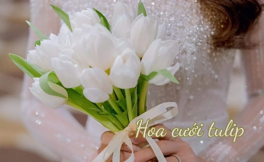 Hoa Cưới Tulip: 99+ Mẫu bó hoa cưới cầm tay tulip đẹp nhất và ý nghĩa