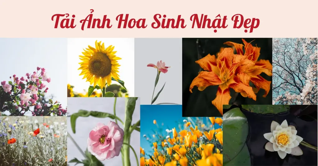 Tải Ảnh Hoa Sinh Nhật Đẹp 2026 Miễn Phí Kèm Lời Chúc Ý Nghĩa