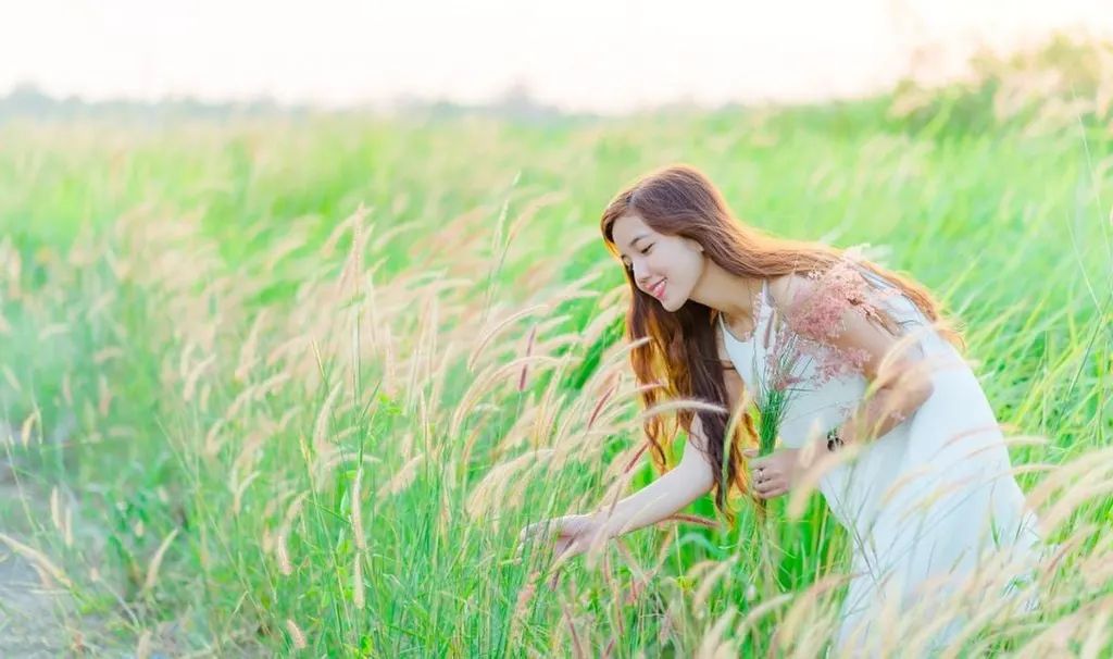 Top 06 loài hoa dại đẹp nhất ở Việt Nam và ý nghĩa