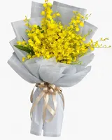  Bó Lan Vũ Nữ - HBD237 