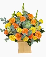  Hộp Hoa Ánh Nắng - HH189 