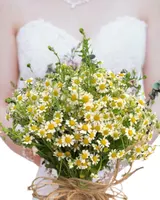  Hoa Cưới cầm tay cô dâu Cherish Day  HC30 