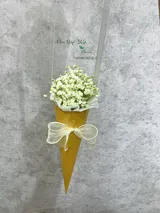  Bó Hoa Ốc Quế Baby - HBT81  