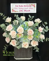 Hộp Tú Cầu Phối Pastel - HH109 