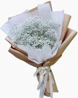  Bó Hoa Baby Bé Xinh - HBD99 - Hoa Sinh Nhật 