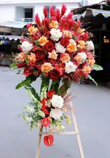  Kệ Hoa Infinite Fortune - GT13 