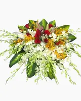  Hoa Bục Phát Biểu Khát Vọng Thành Công - BPB05 