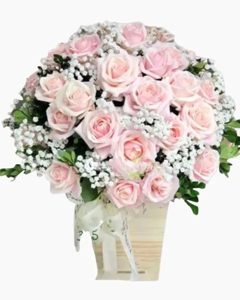 Affectionate Roses - HCH53 - Roses 20/10 - Pastel Roses and Baby's Breath Box