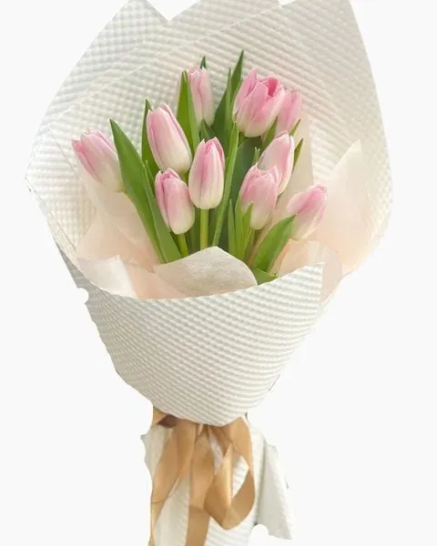 Gentle Pink Shade Bouquet - HBD304