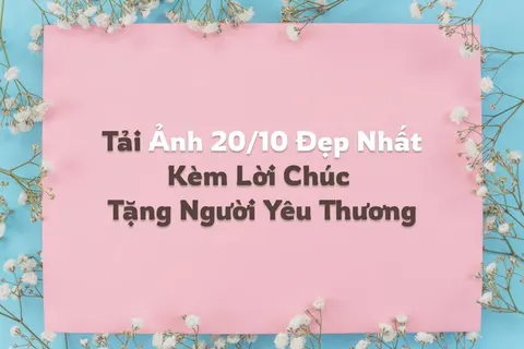 999+ Ảnh hoa 20/10 đẹp nhất kèm lời chúc tặng mẹ, vợ, người yêu ý nghĩa