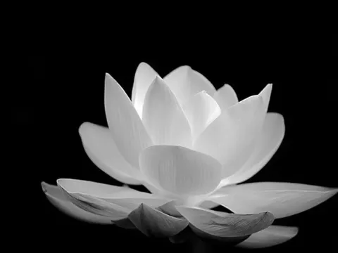 Thanh Kinh Phan Uu: Meaning of the Vietnamese Condolence Phrase