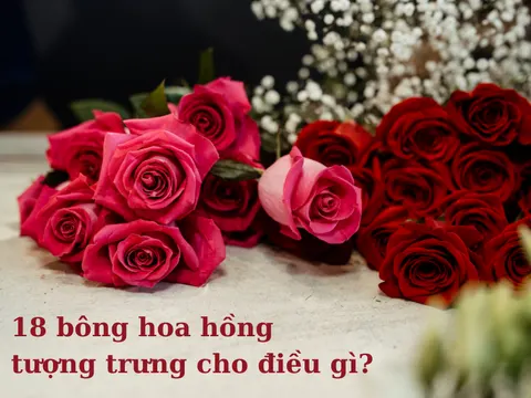 What 18 roses mean