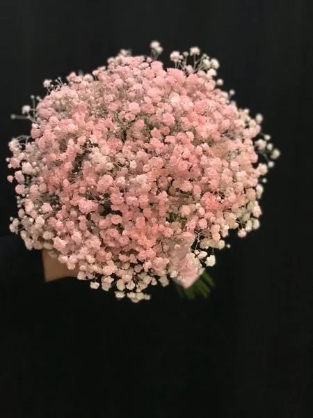 婚禮花:  粉色滿天星新娘花束 - HC22 