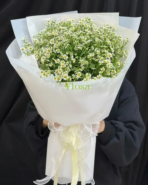 長形花束:  塔納菊花束-HBD312 