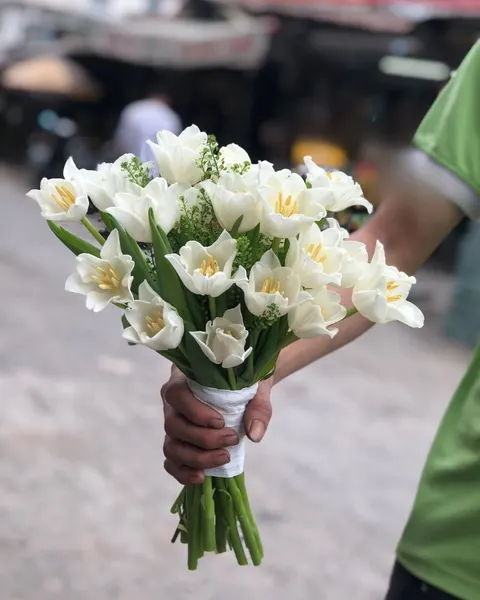 Hoa Cưới: Bó Hoa Cưới Cầm Tay Tulip Trắng - HC29 | Flosa