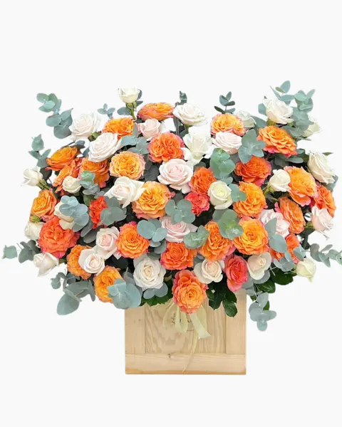 Hộp Hoa Ánh Cam - HH185