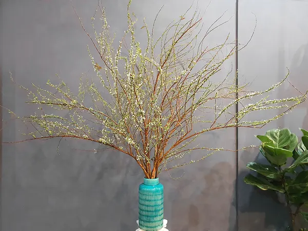Hoa Cắm Bình: Bình Hoa Tuyết Mai - HCB69 - Hoa Chưng Tết Nguyên Đán | Flosa