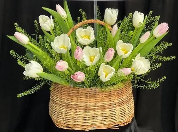 Hoa Kỷ Niệm: Giỏ Hoa Tươi Tulip Mix Màu - HG63 | Flosa
