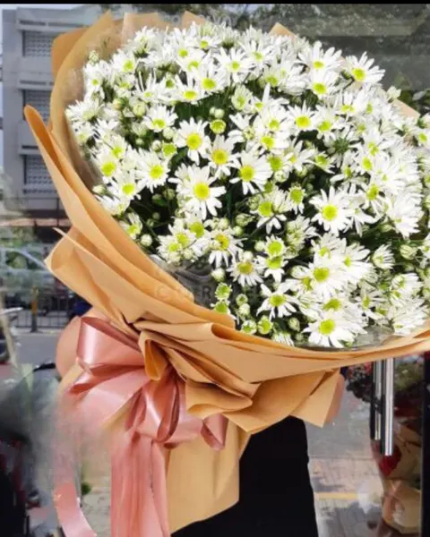 Hoa Bó Tròn: Bó Hoa Cúc Hoạ Mi Siêu To - HBT63 - Hoa Tươi | Flosa