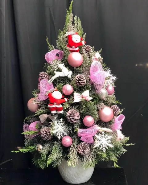 Hoa Giáng Sinh: Cây Thông Noel Tannenbaum - HGS01 - Hoa Giáng Sinh | Flosa