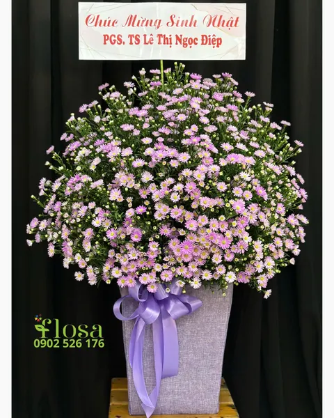 Hộp Hoa Tươi: Hộp Hoa Thạch Thảo  - HH117 | Flosa