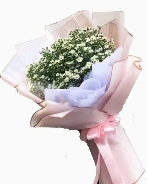 長形花束:  白色紫菀花束 - HBD91 