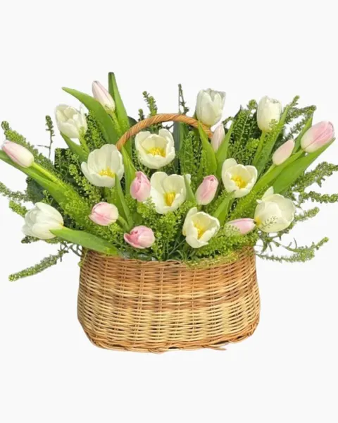 Hoa Kỷ Niệm: Giỏ Hoa Tươi Tulip Mix Màu - HG63 | Flosa