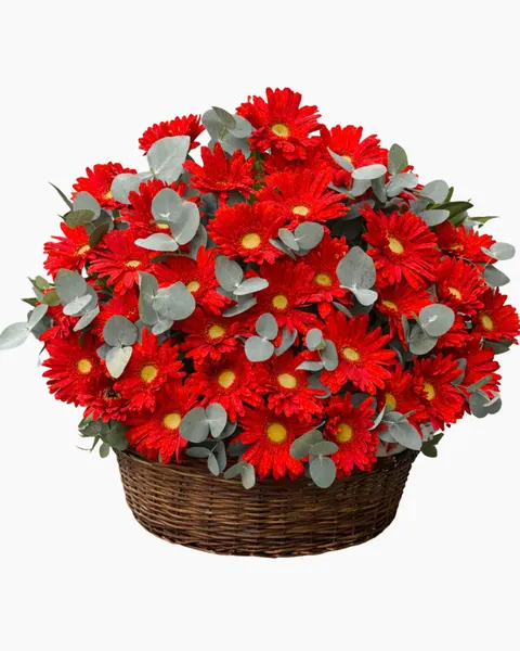 開業花籃:  紅色錢花籃 - HG97 