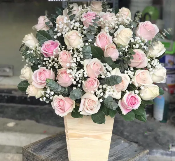 送給家人的鮮花:  向上 - HCH49 - 生日花 