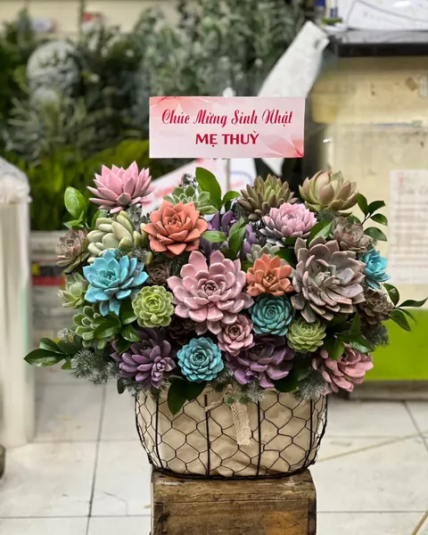 Giỏ Hoa Khai Trương: Giỏ Hoa Sen Đá - HG62 - Ngày Của Mẹ | Flosa