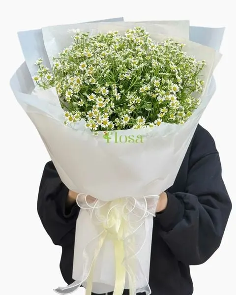 長形花束:  塔納菊花束-HBD312 