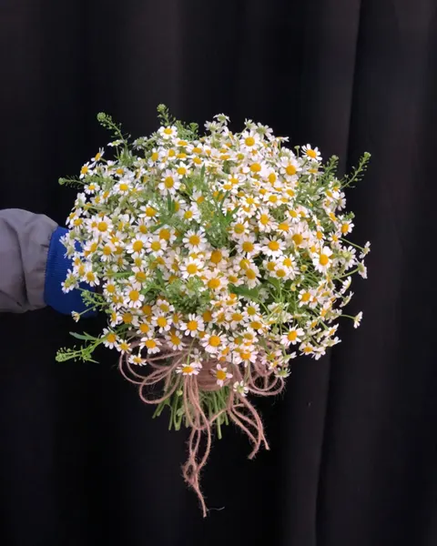 婚禮花:  手捧花 新娘珍惜日子 - HC30 