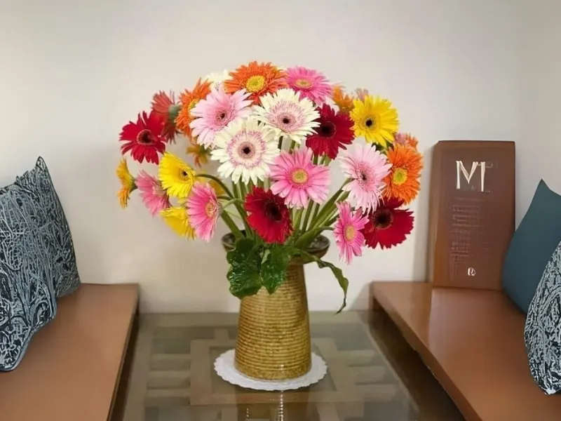 Quà tặng ý nghĩa từ hoa đồng tiền
