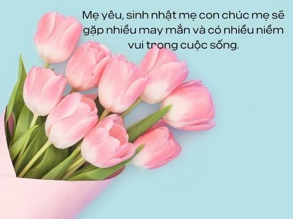 lời chúc mừng sinh nhật