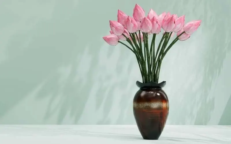Nên tránh đặt bình hoa sen ở nơi có ánh nắng trực tiếp hoặc nơi có nhiệt độ cao