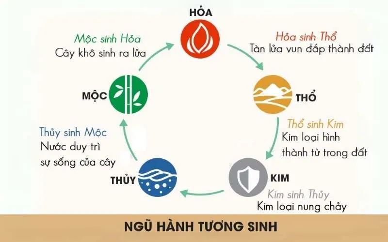 Chúng ta có thể áp dụng quy luật ngũ hành tương sinh để lựa chọn loại hoa hợp với mệnh Thủy