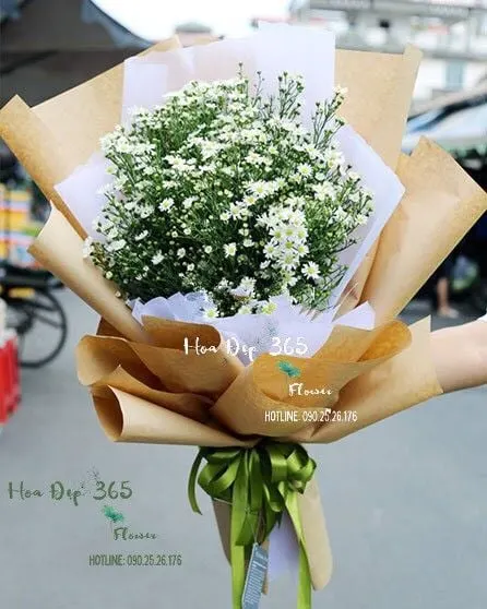 Bó Hoa Thạch Thảo Trắng