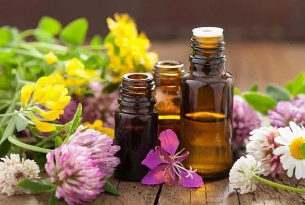 Nến thơm là một quà vừa tinh tế vừa phù hợp với nhiều người